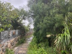 -东沙渔村