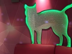-米乐星世界KTV