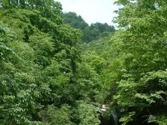 -大泽山风景名胜区