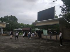 -上海滨江森林公园·停车场