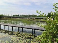 -白鹭湾湿地公园