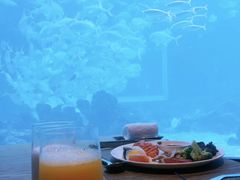 -海棠湾洲际-涛·海底餐厅·美人鱼·自助餐·海底隧道