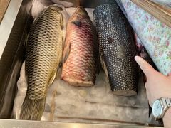 -咱屯子锅台鱼(南滨河东路店)