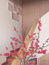 -宥莉·ULLY 痘敏肌•科技皮肤管理中心