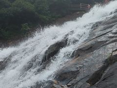 -广州白江湖森林公园