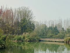 -桤木河湿地公园