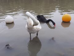 -上海野生动物园