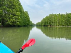 -上海海湾国家森林公园