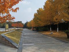 -金陵图书馆