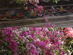 -竹子林(地铁站)