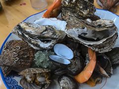 -渔家小院观海海肠捞饭地方菜(环海中路店)