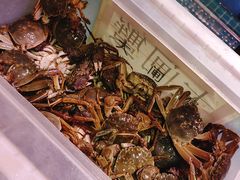 -领鲜活海鲜榴莲自助火锅(东门店)