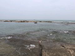 -日照灯塔风景区