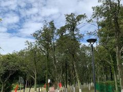 -金山公园