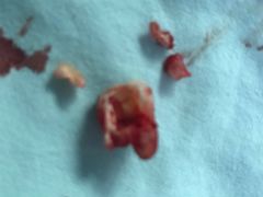 -西安交通大学口腔医院(主院区)