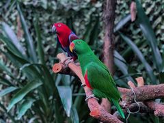 -广州长隆野生动物世界