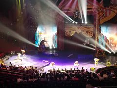 -珠海横琴长隆《卡卡虎奇遇记》