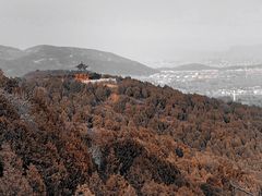 -北京西山国家森林公园
