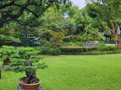 -申粤轩酒楼·三十年粤菜经典(丁香花园店)