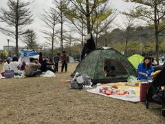 -飞凤山奥体公园