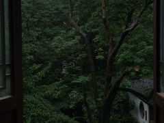 -虎跑公园