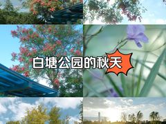 -白塘生态植物园