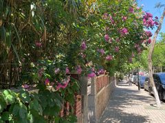 -青岛第三海水浴场