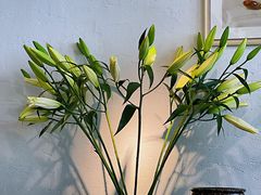 -春暖花开(西溪店)