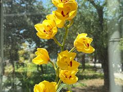 -国家植物园南园