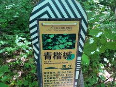 -长白山万达国际度假区