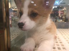 -乐宠宠物店(世纪金源店)