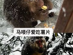 -瓦屋山景区