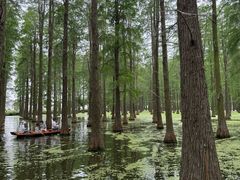 -渌洋湖湿地公园