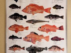 -镹·鱼料理  国产鱼使用店