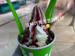 巧克力豆-Salud撒露欧洲冻酸奶(北苑上品店)