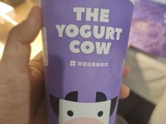 -一只酸奶牛(八一路店)