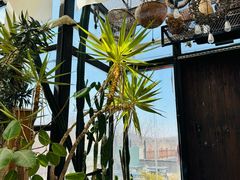 -北马山庄植趣咖啡