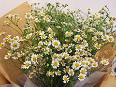 -植物学家的女儿(北马道巷店)