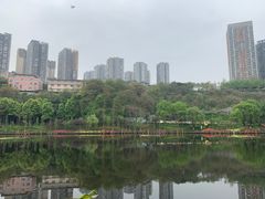-重庆彩云湖湿地公园