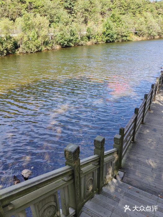 大连森林动物园图片