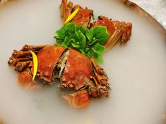 -新光酒家·河豚·海鲜·蟹料理(浦东店)