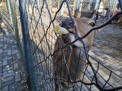 -长白岛森林公园