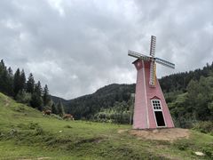 -芦芽山旅游度假区