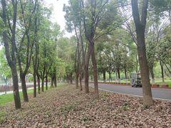 -金银湖国家城市湿地公园