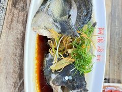 -阿浪海鲜连锁•海鲜加工•老字号(第一市场店)