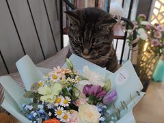 -ChaKo Flora ·茶子花艺 (市北店)