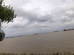 -上海滨江森林公园