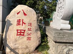 -八卦田遗址公园