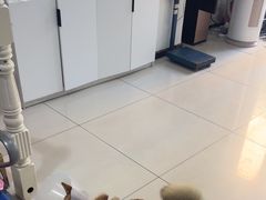 -科道动物医院·急重症中心(万达院)