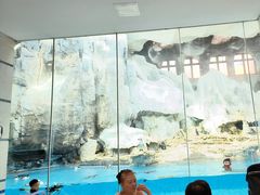 -帝企鹅自助餐厅•儿童岛•真企鹅(长隆企鹅酒店)